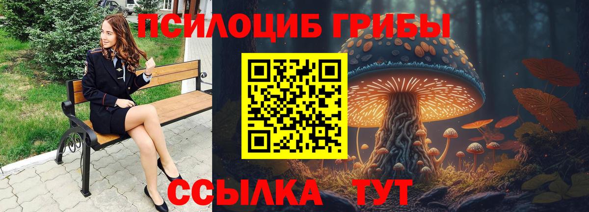 Галлюциногенные грибы Psilocybe  Вход с VPN  Псилоцибиновые грибы ЛСД  Калуга 